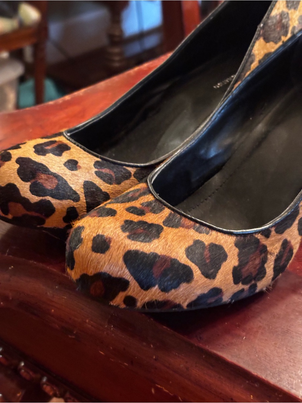 BCBGeneration Leopard Print Pumps in Brown and Black